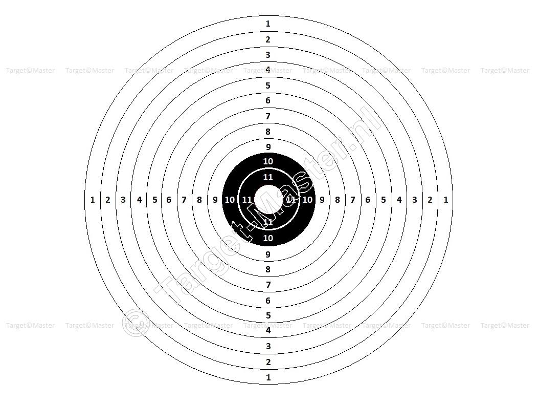 .TM 1 ROOS Luchtdruk Schietkaarten 14x14 centimeter inhoud 100 stuks